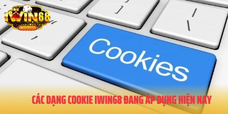 Các dạng Cookie IWIN68 đang áp dụng hiện nay